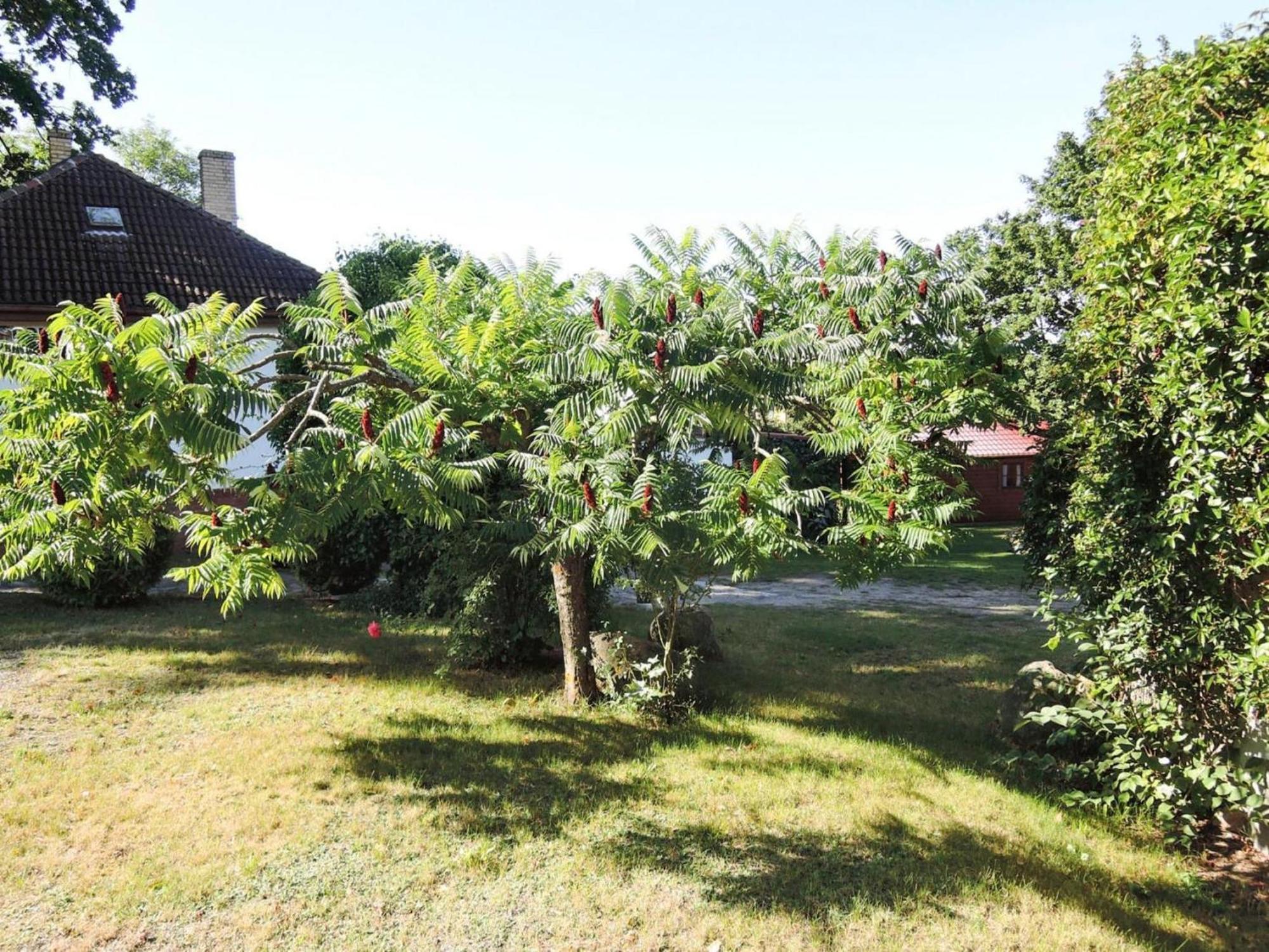 Bungalow In Lubin At 300 M From The Lake Екстер'єр фото